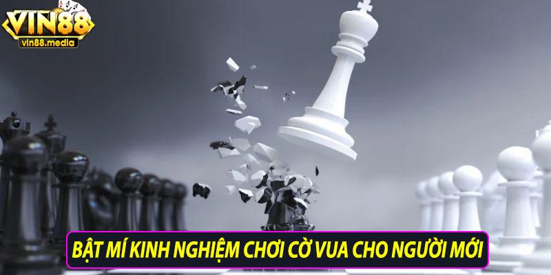 Bật mí kinh nghiệm cờ vua cho người mới